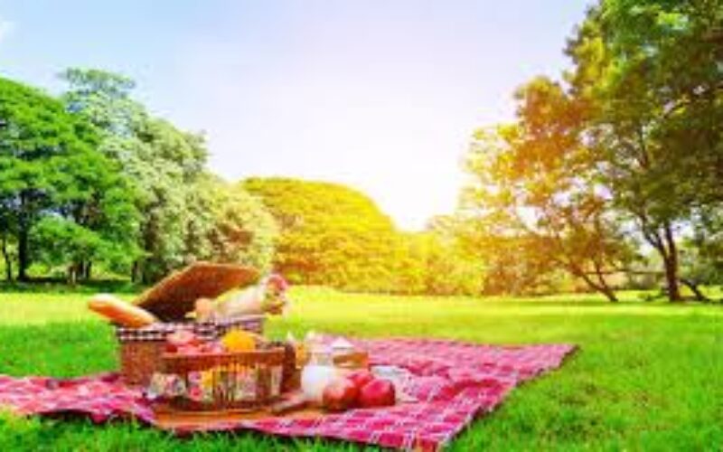 Jesienny piknik 14 września 2025 r.